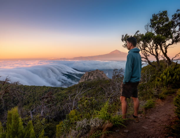 Parc national Garajonay Tenerife